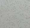 mineral fiber ceiling tile