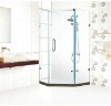 Frameless stainless steel glass shower door &shower enclosure&shower screen