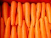 carrot