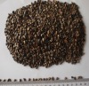 Chinese Buckwheat