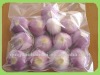 chinese fesh frozen yellow onion