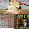 high quality grassland fence(manufacture)