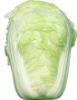 chinese cabbage