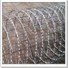 galvanized razor barbed wire