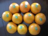 fresh Chinese navel orange