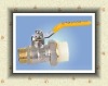 brass & PPR ball valve