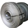 Hot Rolled Stainless Steel Strip