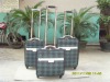 Fashion Trolly Luggage / Travel Trolly Luggage