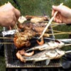 BBQ grill mesh (barbecue grill wire netting, barbecue mesh)