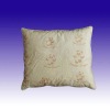 feather filled cushion