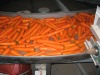 Chinese fresh carrot