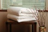 100% Mulberry Silk Duvet