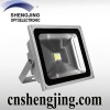 Outdoor LED Light 50W