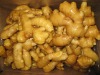 fresh air dried ginger