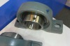 UCP213 Insert bearing with grease hole