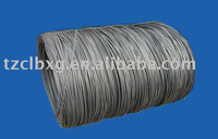 Stainless Steel Hot Rolled Wire Rod