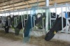 cow farming equipment