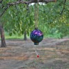 garden gazing ball