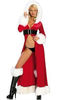 sexy christmas costume