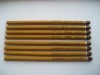 Yellow Dipped Pencil