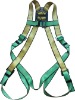 Safety harness