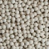 Molecular Sieve