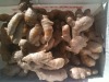 New Crop Fresh Ginger