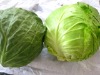 Fresh round cabbage