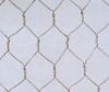 hexagonal wire netting