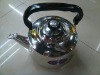 stainless steel kettle