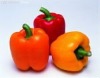 150-200g Good quality fresh yellow pepper