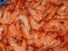 Vannamei Shrimp