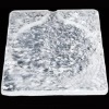 quartz barbecue plate