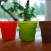 Biodegradable Cornstarch-based flower pot