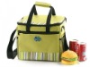 Promotion 12 cans fashion outdoor cooler bag or box