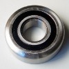 Mast Guide Bearings