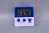 Digital Timer