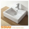 CL3036 Wash Basin