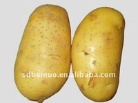 chinese potato