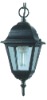 60W Garden Lamp NS4105