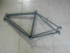 MTB FRAME