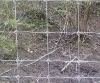 field fence net/grassland fence net /farm fence net (factory)