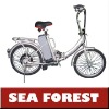 steel lead acied models E-bike