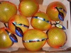 2011 crop pomelo