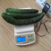 Portable electronic digital scales