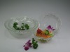 Glass bowl & plate