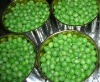 canned green peas