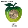 WEATHER STATION