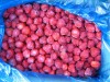 supply high quality IQF frozen strawberry