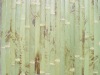 bamboo wallpaper